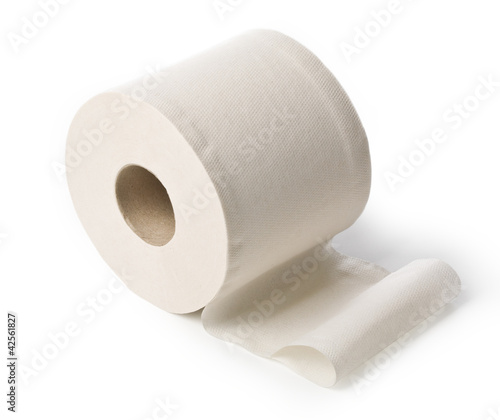 Photo: toilet paper toilet paper
