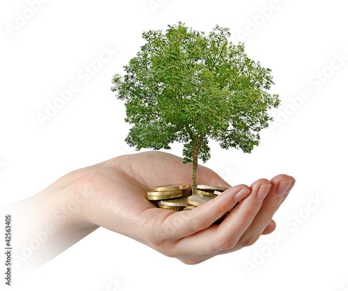 Photo: Palms with a tree growng from pile of coins Palms with a tree growng from pile of coins