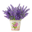 Lavanda
