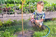 Kleiner Junge bei der Gartenarbeit, Gießne