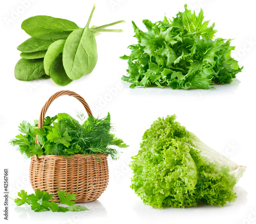 Photo: set fresh leaves herbs isolated on white background set fresh leaves herbs isolated on white background