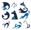 cats and dogs, vector pets collection