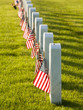 Photo: Cemetery Cemetery