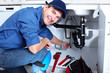 Professional plumber.