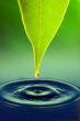 tear of life
