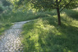 Country Walk