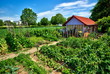 Potager