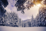 winter - Fine Art prints