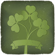 Clover background for St. Patrick's Day. EPS10