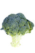 Close-up of broccoli on a white background