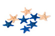 Dark blue and beige starfishes on a white background