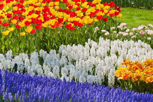 Photo: Bright flowerbed Bright flowerbed