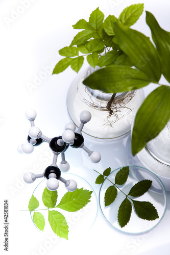 Foto: Eco laboratory Eco laboratory