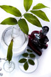 Biotechnology , Plant laboratory