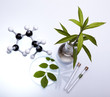 Ecology laboratory, experiment 