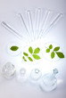 Ecology laboratory, experiment 