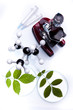 Plants and laboratory 