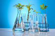 Biotechnology , Plant laboratory