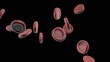 Video: streaming blood cells on black streaming blood cells on black