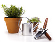 Foto: Garden tools on white background Garden tools on white background