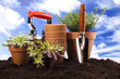 Foto: Gardening equipment on green plant Gardening equipment on green plant
