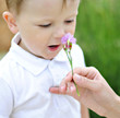 Photo: The little boy on a clearing with a flower The little boy on a clearing with a flower