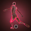 Illustration: soccer game player soccer game player