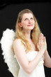 Angel with feathery white wings looking up and praying