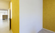 modern office interior design, yellow walls