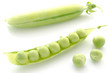 エンドウ豆のさやと豆