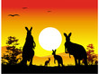 Vektor: Australia sunset with kangaroo family silhouette Australia sunset with kangaroo family silhouette