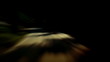 Video: Time Lapse Road Driving. HD 1080. Looped animation. Motion Blur. Time Lapse Road Driving. HD 1080. Looped animation. Motion Blur.
