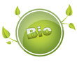 Illustration: Bio - Button Bio - Button