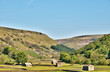 Small stone barns on farmland