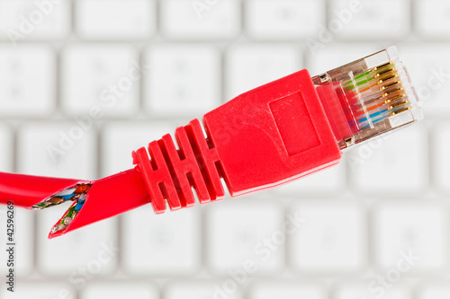 Foto: Netzwerk Kabel eines Computers Netzwerk Kabel eines Computers