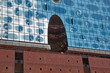 Hamburger Hafen 2012 - Elbphilharmonie