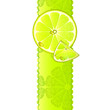 Vertical banner with juicy slices of lemon fruit