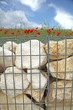 mur de soutien en pierre avec armature en grillage