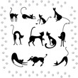 Collection illustrations of black cats