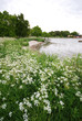 Ostseestrand (Schweden)