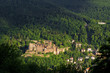 Heidelberger Schloss