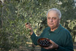 Italian olive farmer showing bowl of olives from his trees