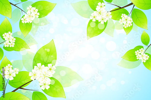 Vector: Green Leaves Green Leaves
