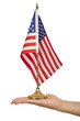 Hand holding american flag on white