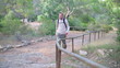 Man with backpack walking in the forrest
