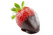 Photo: chocolate dipped strawberries chocolate dipped strawberries
