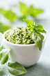 Foto: pesto pesto