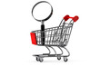 Magnifying glass & shopping trolley