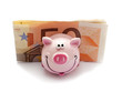 cochon souriant  économie argent