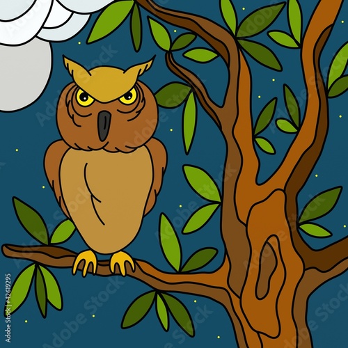 Illustration: gufo gufo